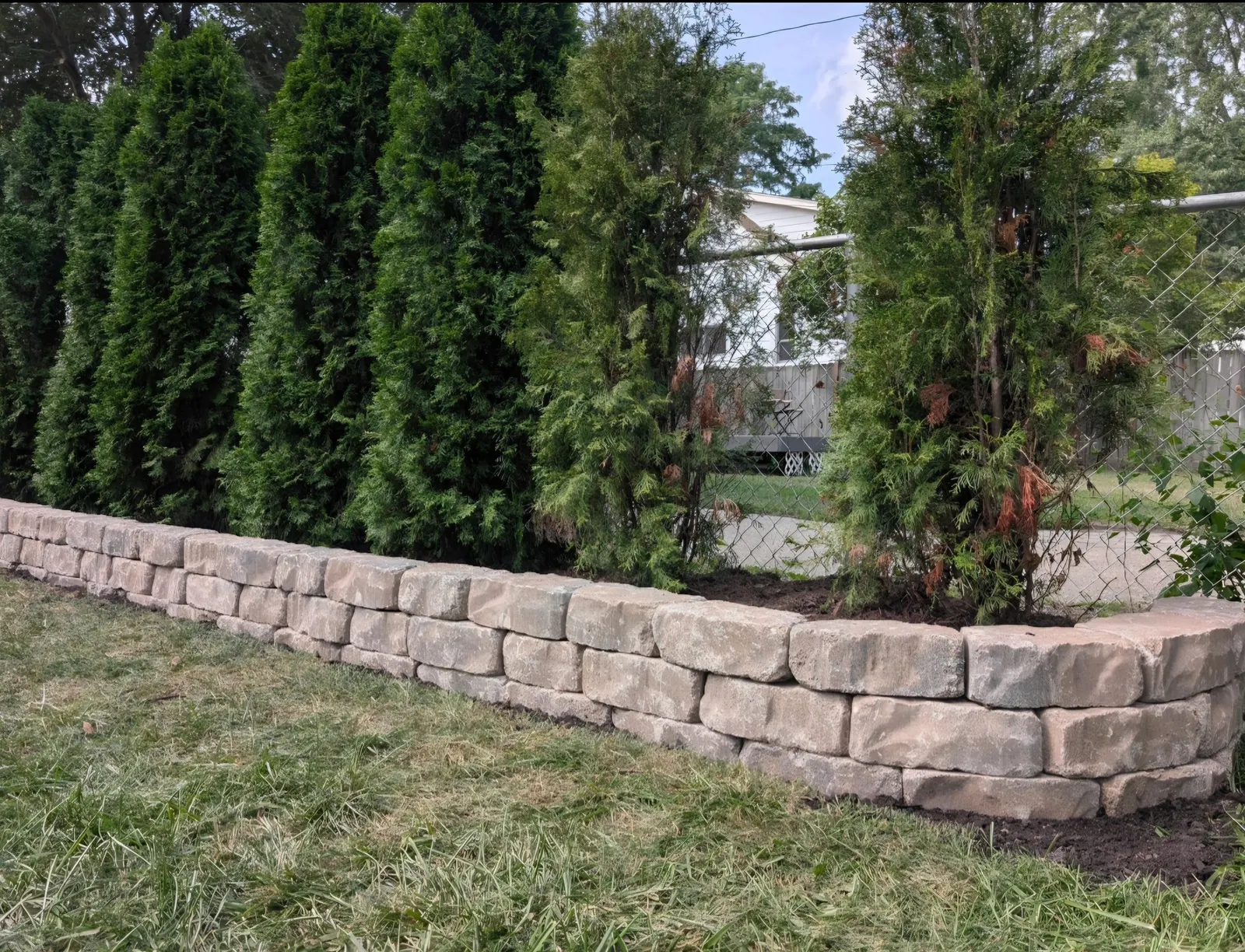 A tiered stone retaining wall in front of a row of tall arborvitae shrubs