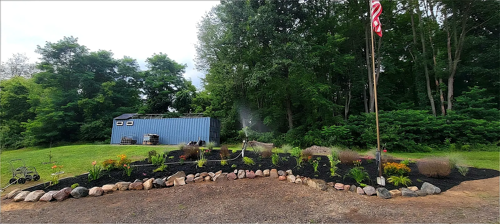 A sprinkler spraying water over a freshly planted bed edged with stones, with a blue shed and trees behind