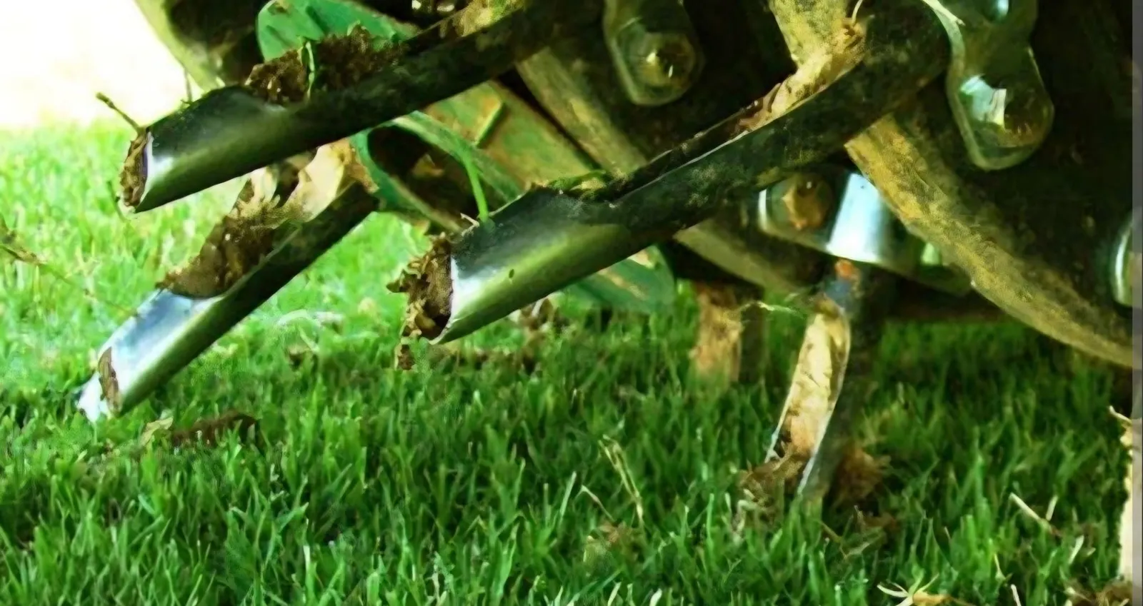 Close-up of a core aerator's hollow tines pulling plugs from green turf