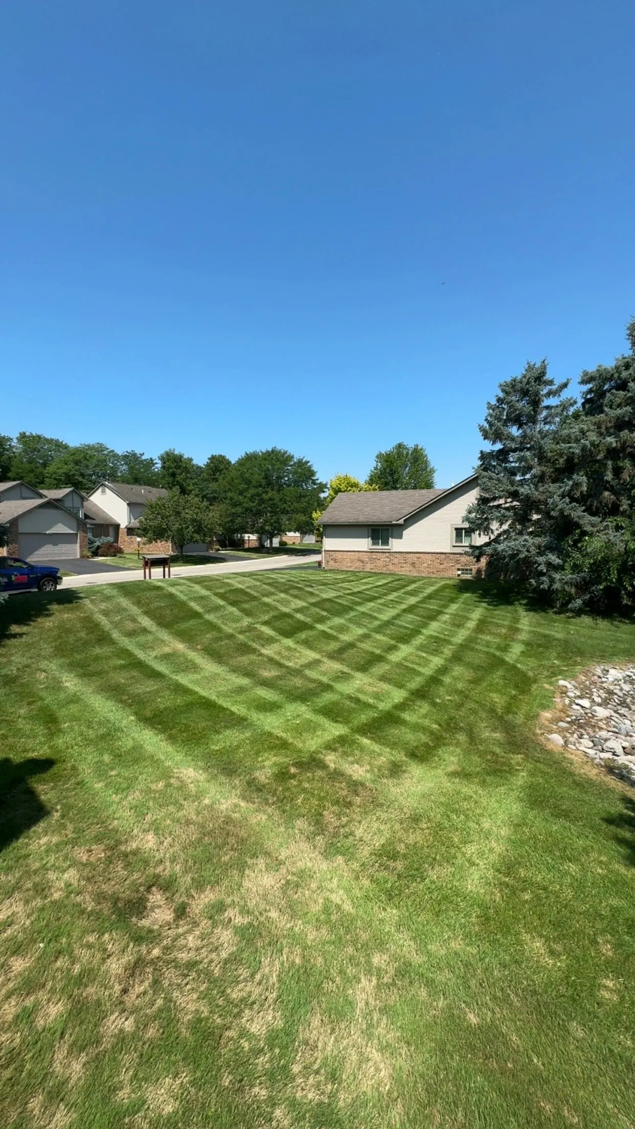 A freshly mown lawn with curved mowing stripes beside a stone-lined swale, in front of ranch homes under a clear blue sky