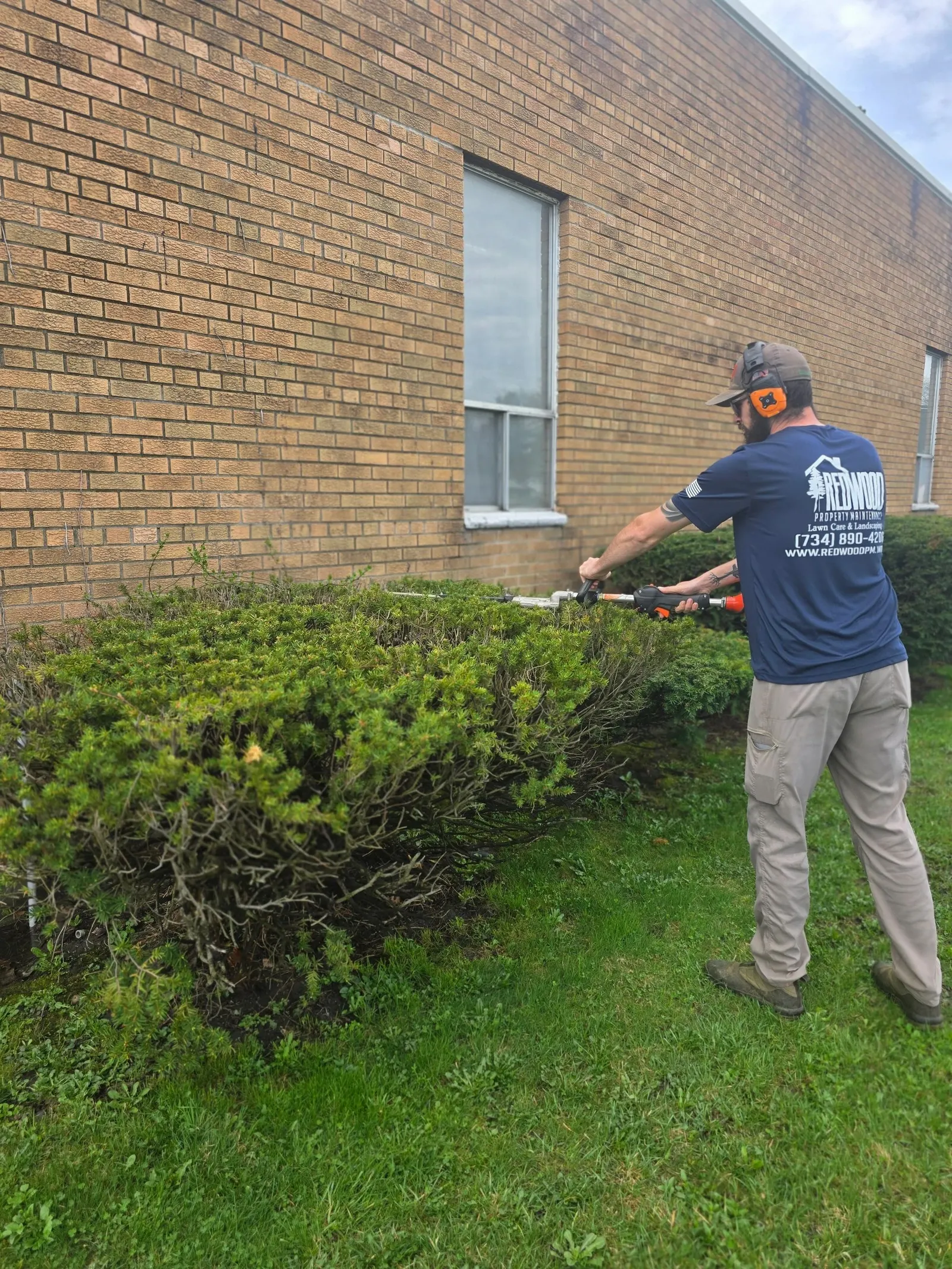 A crew member in a Redwood Property Maintenance shirt trimming a shrub along a brick building with a long-reach hedge trimmer